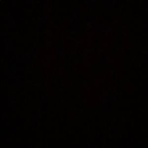 Meet your Posher, Tamara